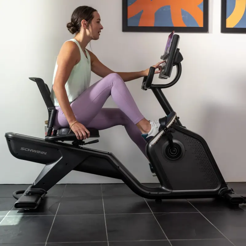 Schwinn 290 Recumbent Bike, view 2