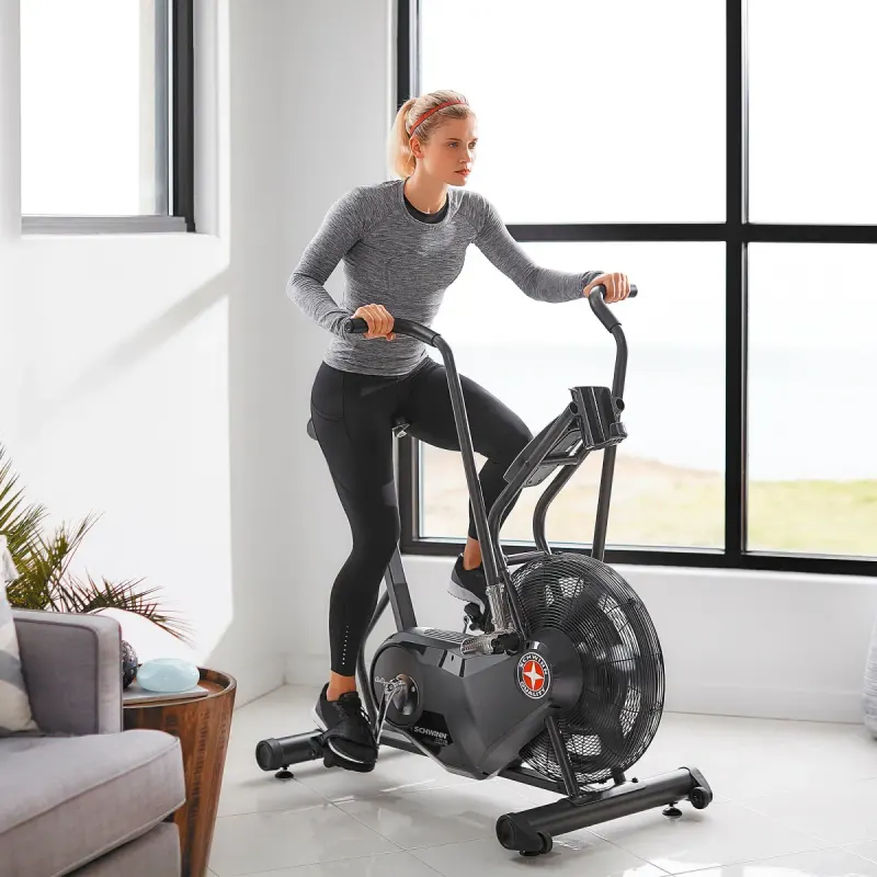 Schwinn AirDyne AD6, view 2