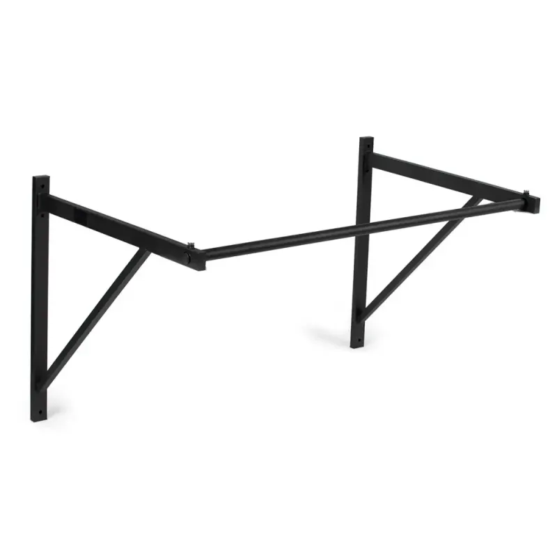 Titan Wall/Ceiling-Mounted Pull-Up Bar